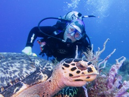 Sue W and Hawksbill Sea Turtle IMG 4961